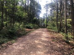 -青龙山国家森林公园