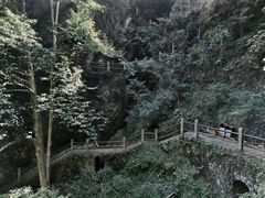 -莫干山风景区