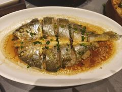 陵水黄尾仓鱼-创味·民间海南菜·非遗藤桥排骨(藤桥·免税城店)