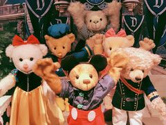 -济州岛泰迪熊博物馆