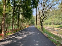 -五泄景区
