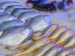 -荣记火锅(青悦城店)