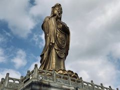 -紫竹林