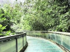 -四会奇石河风景区