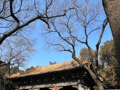 -北京国子监胡同