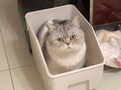 -爱侣宠医·鹦鹉专科·小型哺乳类·异宠专科(灵石路店)