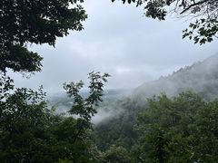 -大奇山国家森林公园