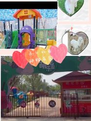 -萌宠亲子动物乐园(槐房万达店)