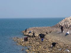 -天津妈祖文化园