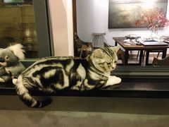 -咖法森林·咖啡  酒吧(天河店)