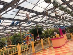 -南宫五洲植物乐园