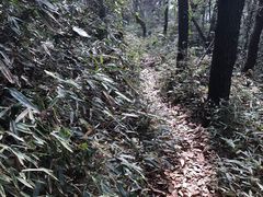 -九曜山