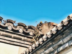 -和敬公主府