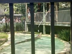 -费瑟代尔野生动物园