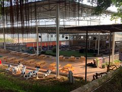 餐饮设施-盈香心动乐园