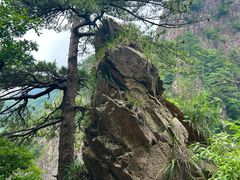 -明堂山风景区