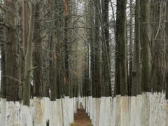 -昆嵛山石门里景区