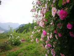 -太阳湾风景区