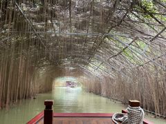 -江门古劳水乡旅游区