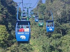 -野象谷景区