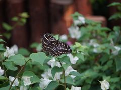 -上海动物园(地铁站)