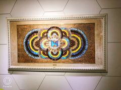 -上海昆虫博物馆