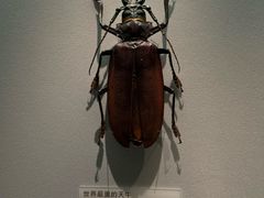 -天津自然博物馆
