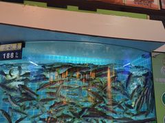 -千岛湖小鱼儿·淳安匠心农家菜