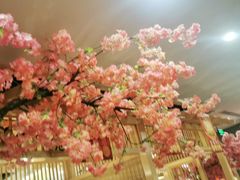 -九田家黑牛烤肉料理(衡百国际店)