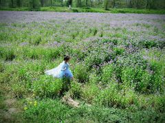 -汉长安城未央宫国家考古遗址公园
