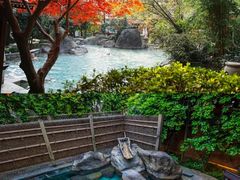 -唐风温泉