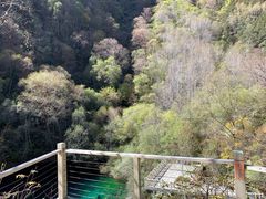 -叠溪松坪沟景区