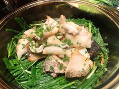 香葱焗石斑鱼-尚一汤·粤菜海鲜(环球港店)