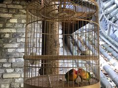 -鱼桥巷·美学川菜