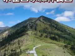 -朱雀国家森林公园