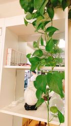 -美甲日记美睫专业纹绣半永久