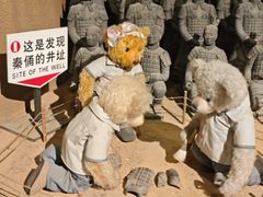 -成都泰迪熊博物馆