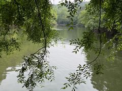 -青龙山国家森林公园