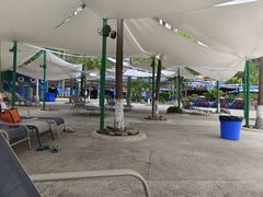 -重庆海昌加勒比海水世界