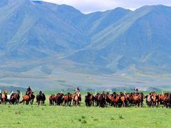 -祁连山草原