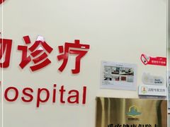 -艾贝尔宠物诊疗