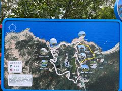 -广东惠东海龟国家级自然保护区