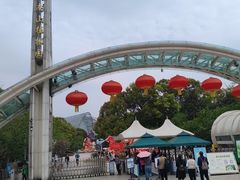 -南山植物园