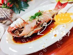 -新金盛·海鲜酒楼(盐田店)