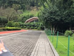 -龙头寺公园