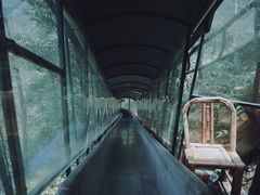 -龙湾潭国家森林公园