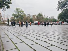 -峨眉山报国寺
