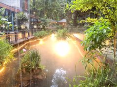 -大妙火锅·非物质文化遗产(东湖公园店)