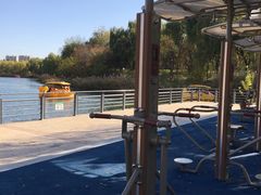 -大兴滨河森林公园