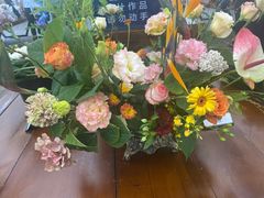 -荷兰花海